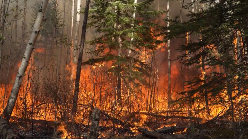 Wildfire alert issued for area northwest of Edmonton