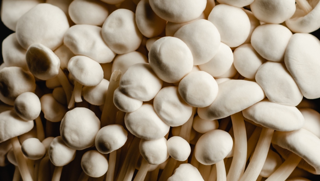 ‘Do not consume’: Health Canada recalls brand of mushroom sold in Ontario