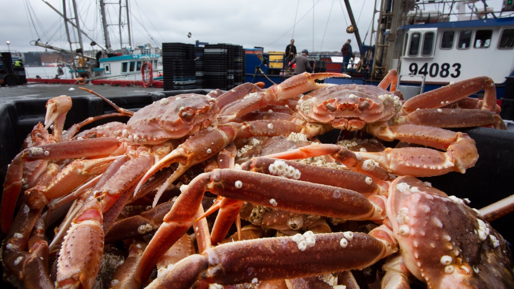 Crab fishing halt ends: Newfoundland and Labrador