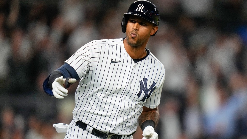 shuttle skulder gevinst MLB: NY Yankees cut OF Aaron Hicks | CTV News