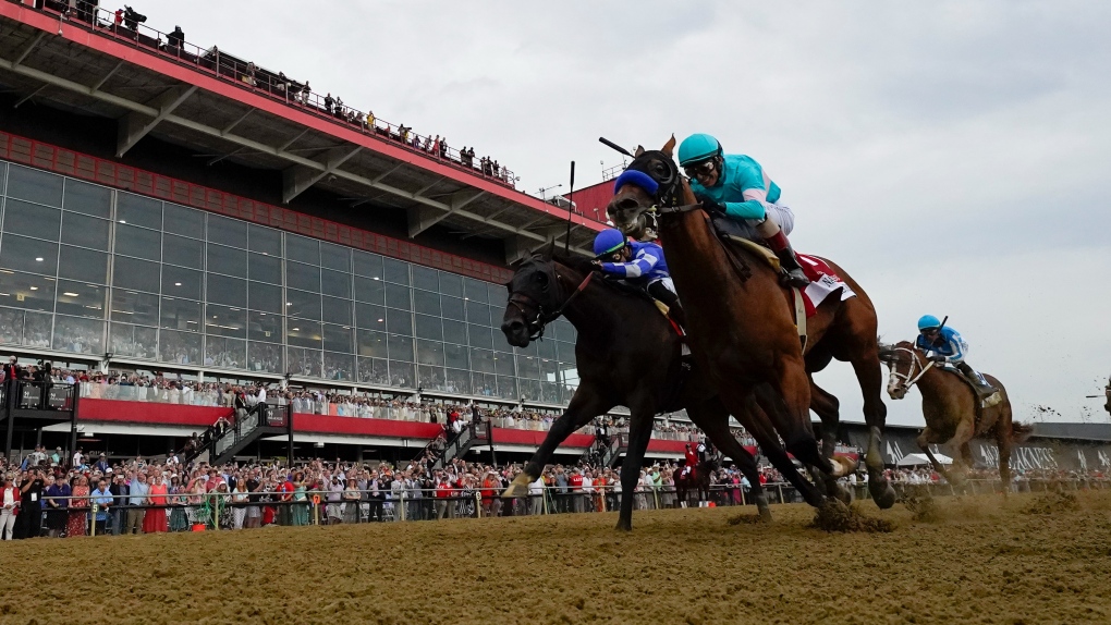 Baffert’s National Treasure wins Preakness, hours after one of his horses euthanized