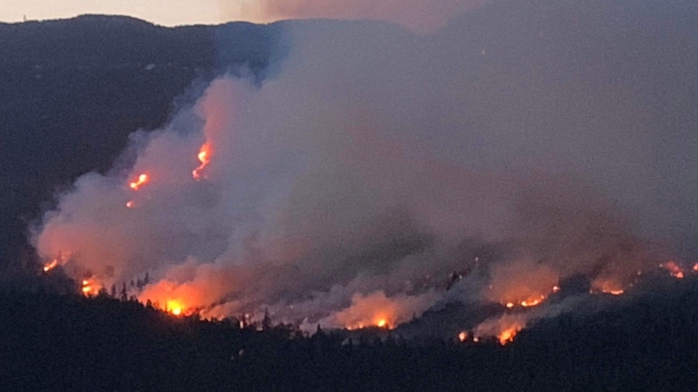 Wildfire burning out of control near Sayward, B.C., surpasses 200 hectares