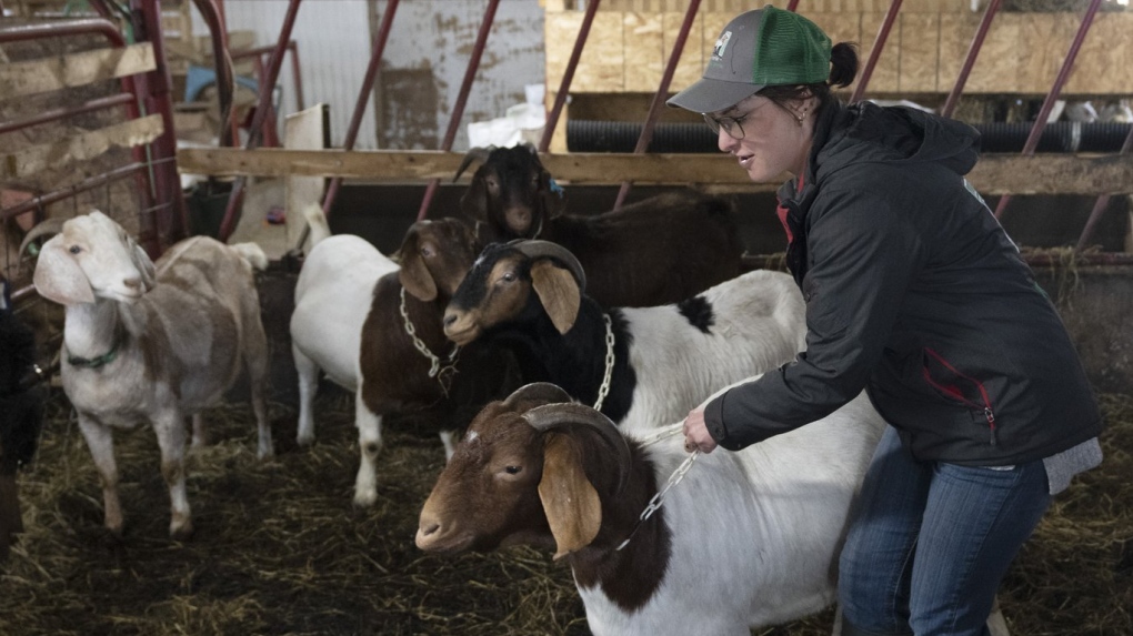 High costs putting farming out of reach for young people, affecting all Canadians