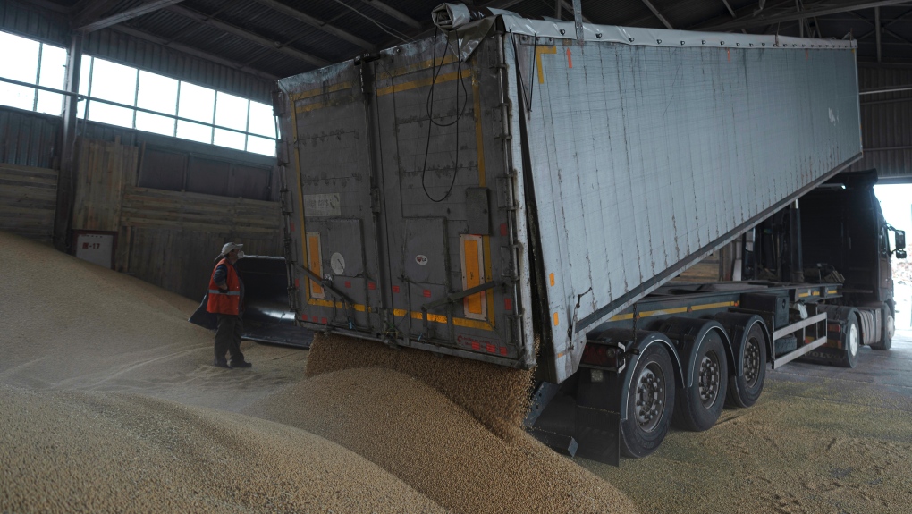 A truck unloads grain at a grain port in Izmail, Ukraine, Wednesday, April 26, 2023. (AP Photo/Andrew Kravchenko)