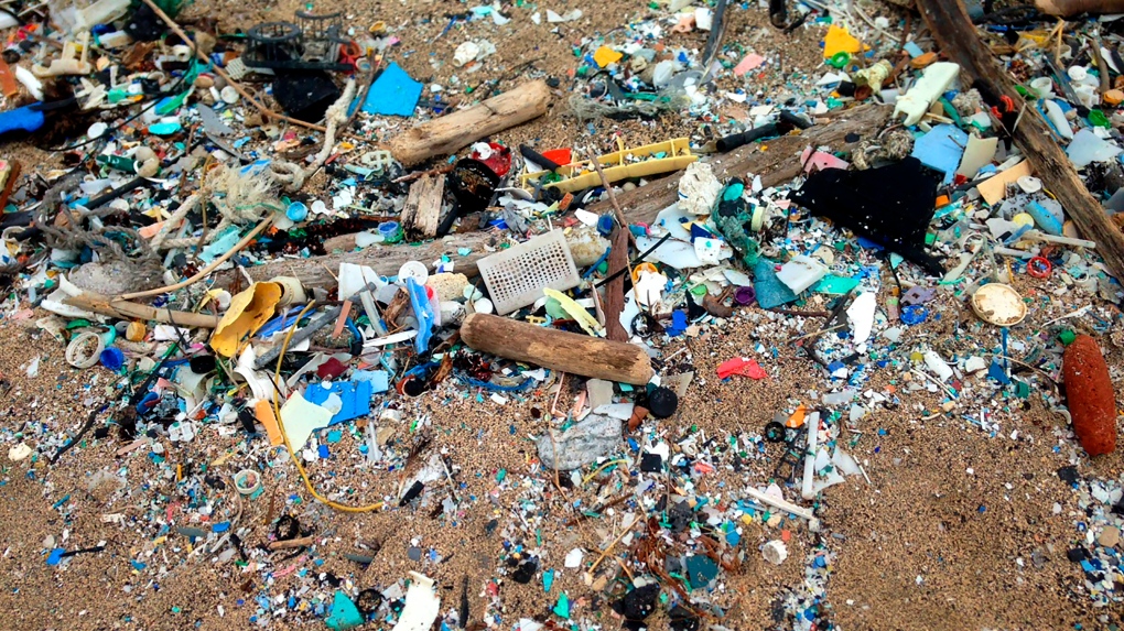 Microplastics can stick in human airways, new study finds