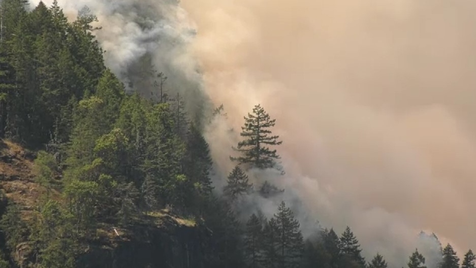 Vancouver Island wildfire surges in size, forces rolling highway closures