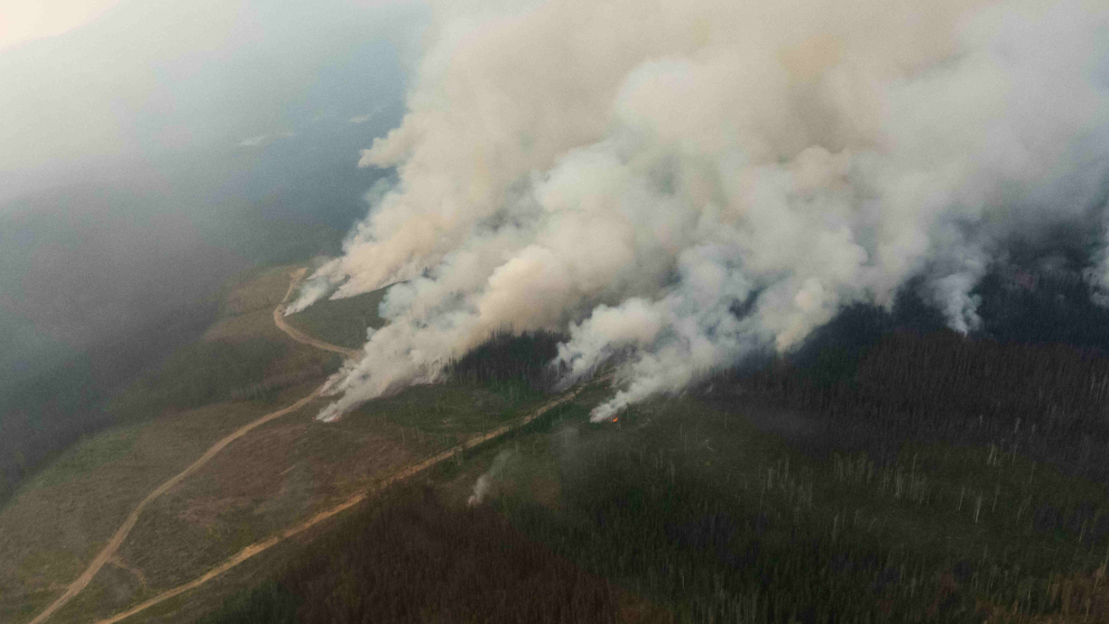 Military begins B.C. wildfire deployment as number of blazes continues to climb