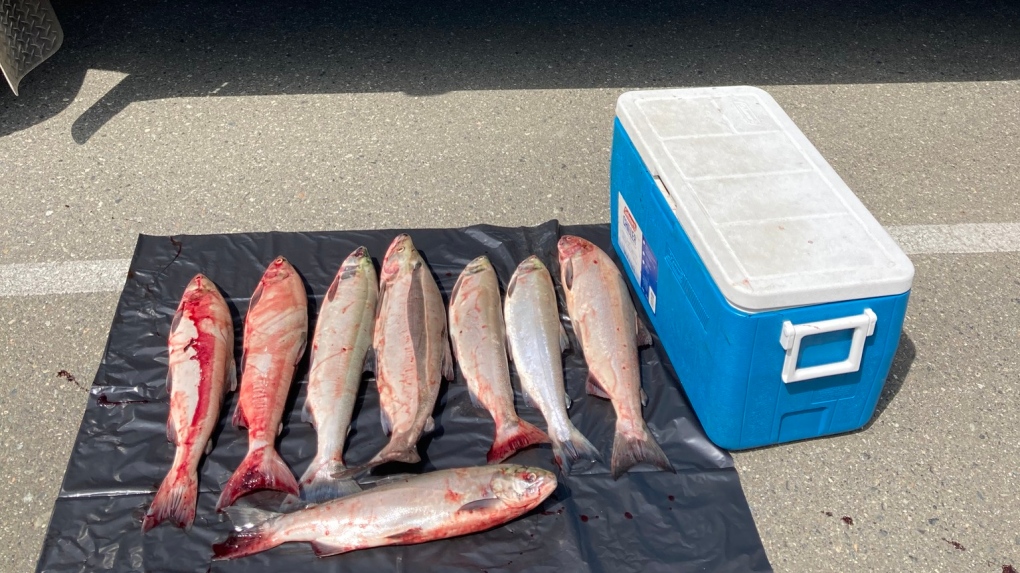 Conservation officers seize boat for illegal salmon fishing