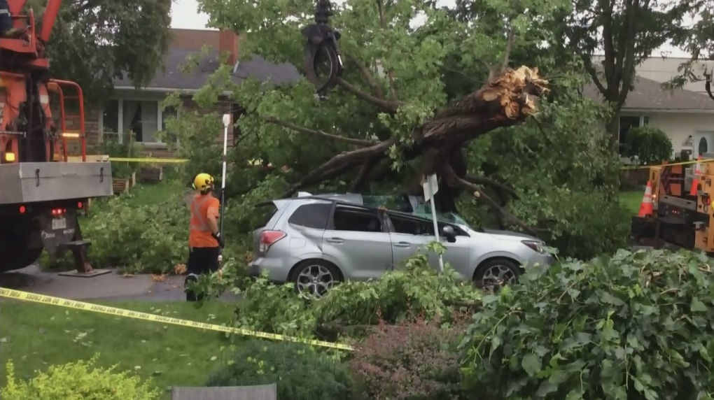 700 customers in Ottawa and Gatineau remain without power following Friday's storm