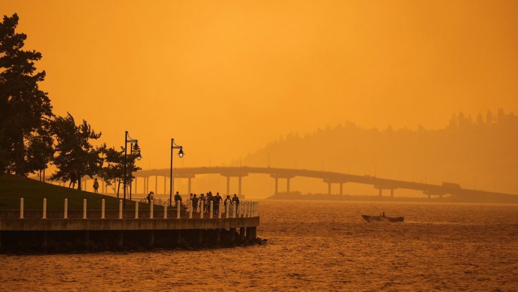 Wildfire smoke can damage the brain long after flames are extinguished, research says