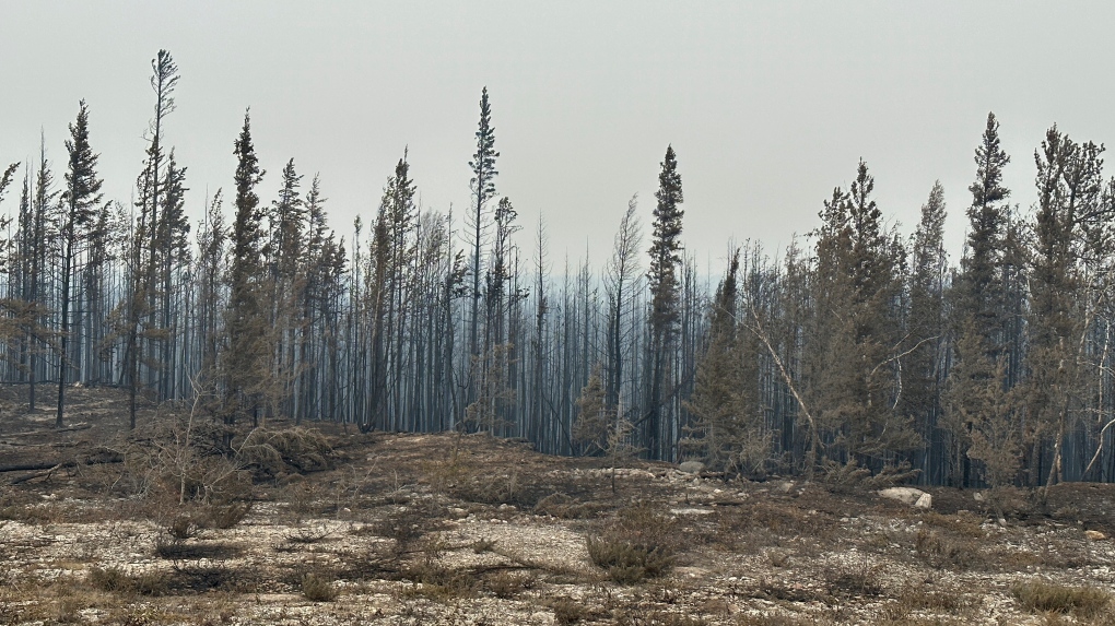 Heat warnings issued for N.W.T. as fire nears town of Hay River