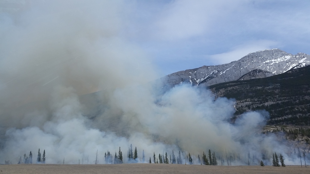Breathing in wildfire smoke linked with neurological health consequences: study