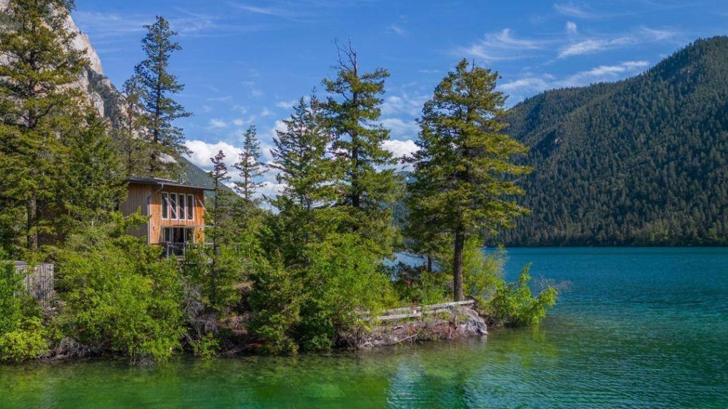Private island in B.C. lake on sale for half the price of an average home in Vancouver