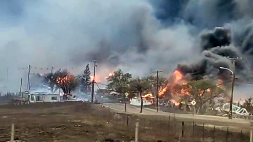 Los incendios forestales en Maui han provocado un aviso de viaje para los canadienses
