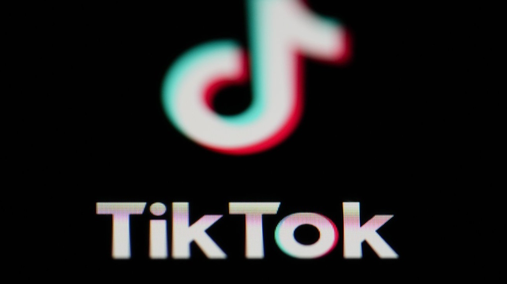 TikTok Sensation Leggings – House of Gadgets