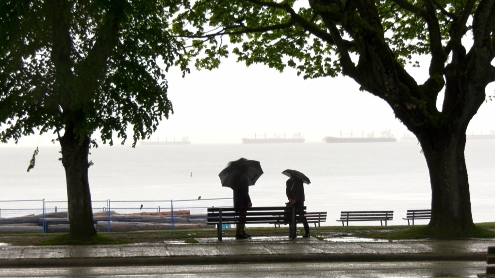 Wind warning upgraded for Vancouver Island, B.C. coast as 'significant fall storm' approaches