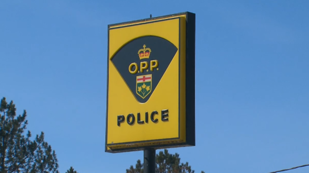 Brian Lush: Missing man found dead in eastern Ontario – CTV News Ottawa