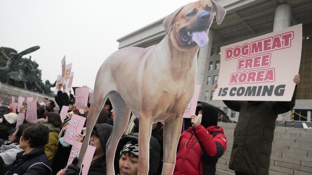 Animal rights activists attend a protest rally supporting the government-led dog meat banning bill at the National Assembly in Seoul, South Korea, Tuesday, Jan. 9, 2024. (AP Photo/Ahn Young-joon)