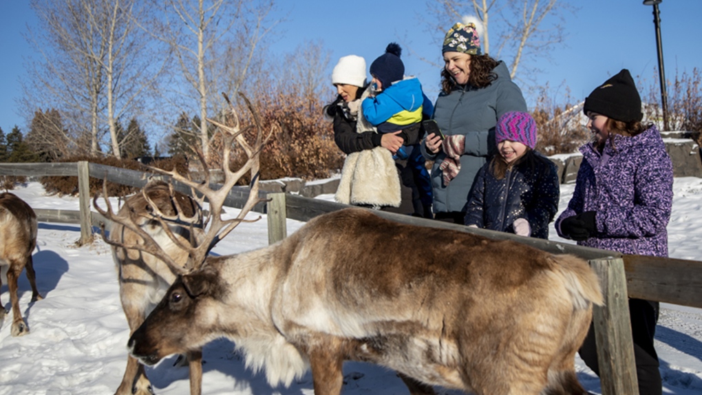What to do for fun on Family Day in Edmonton
