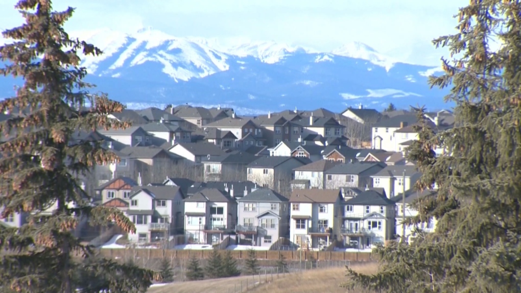 Calgary councillors calling for plebiscite on new zoning rules