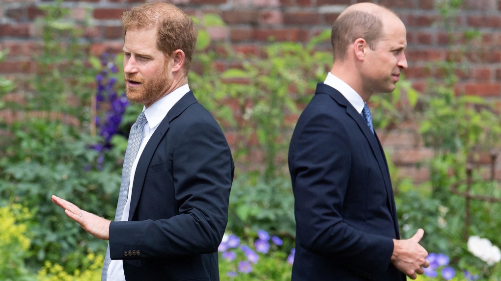 Princes William and Harry to appear separately at event honouring Diana