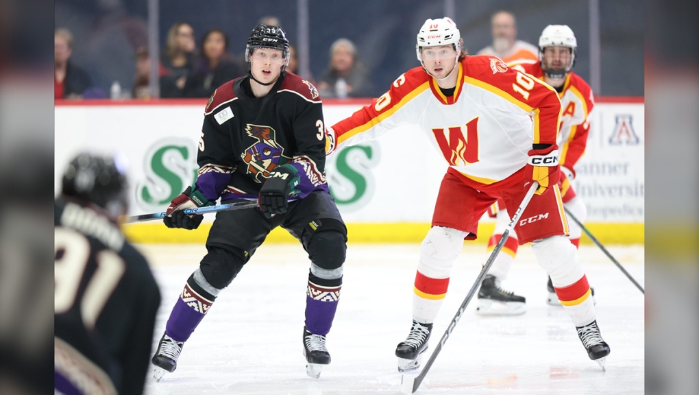 Calgary Wranglers defeated by Tucson Roadrunners 3-2