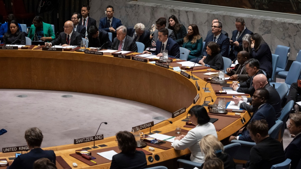 Security Council plans to vote on UN membership for Palestine