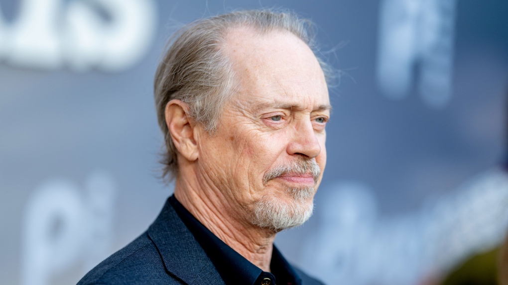 Steve Buscemi punched in the face while walking in N.Y.C.