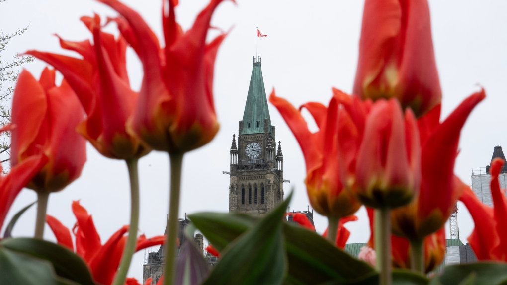 The push to Parliament's summer hiatus is about to begin, here's what you need to know