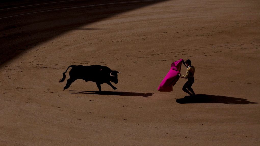 Spain abolishes national bullfighting award in cultural shift