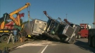 A truck carrying cattle rolled over Highway 401 on Saturday, Oct. 16, 2010.