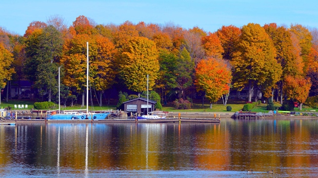 Fall colours at the marina in Long Sault, Ontario.  (Viewer photo submitted by: Calvin Hanson)