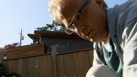 Don Wishlow works in his Vancouver garden next door to a laneway house under construction. Oct. 21, 2010. (CTV)