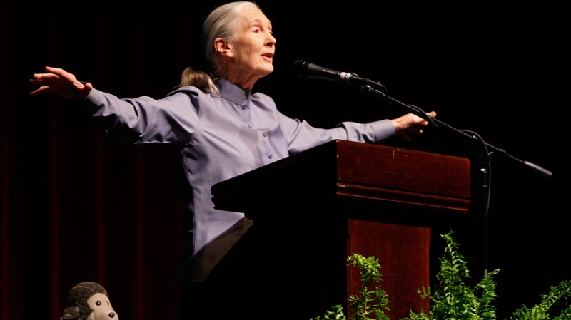 Jane Goodall speaks at the University of Puerto Rico in San Juan, Nov. 4, 2009. (AP / Andres Leighton)