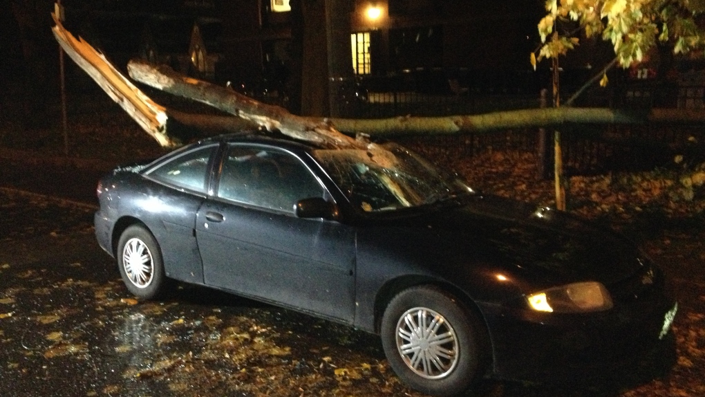 Sandy Toronto damage