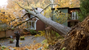 A videographer shoots a house in Toronto on Tuesday, Oct. 30, 2012, after it was crushed by a tree felled in superstorm Sandy. (The Canadian Press/Frank Gunn)