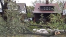MyNews contributor Peg Kivi sent in this image of storm damage in Sarnia, Ont. on Tuesday, Oct. 30, 2012.