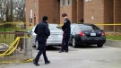 Peel Regional Police investigate the scene of a murder in Mississauga, Friday, Nov. 2, 2012. (Tom Podolec / CTV Toronto)