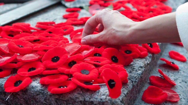 A hand reaches out to place a poppy on the Tomb of the Unknown Soldier following Remembrance Day ceremonies in Ottawa, Wednesday November 11, 2009. (Adrian Wyld / THE CANADIAN PRESS)