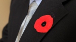 This Remembrance Day, employees at Canadian McDonald’s restaurants will be allowed to sport poppies behind the counter thanks to a small, but novel addition to the symbolic pin. (Lars Hagberg / THE CANADIAN PRESS)