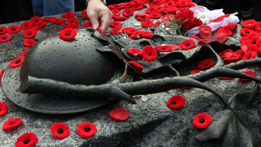 Remembrance Day ceremony in Ottawa