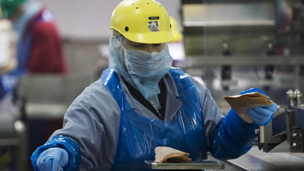 A Maple Leaf Foods employee handles food products inside the company's meat facility in Toronto on Monday, December, 15, 2008. (THE CANADIAN PRESS/Nathan Denette)