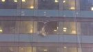 A broken window of the Trump International Hotel & Tower in Toronto is pictured. Police say the glass from the window fell onto several cars below on Wednesday, Nov. 14, 2012. (John Garner for CTV Toronto)