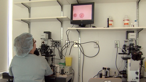 Human embryos are grown in a culture at Pacific Fertility in Burnaby, B.C. (CTV)