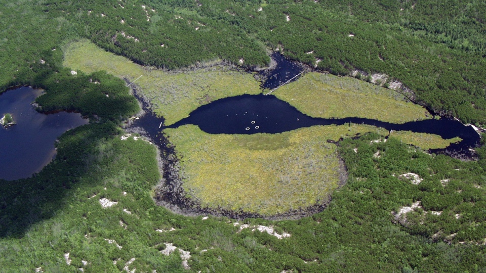 Undated photo of ELARP wetlands.