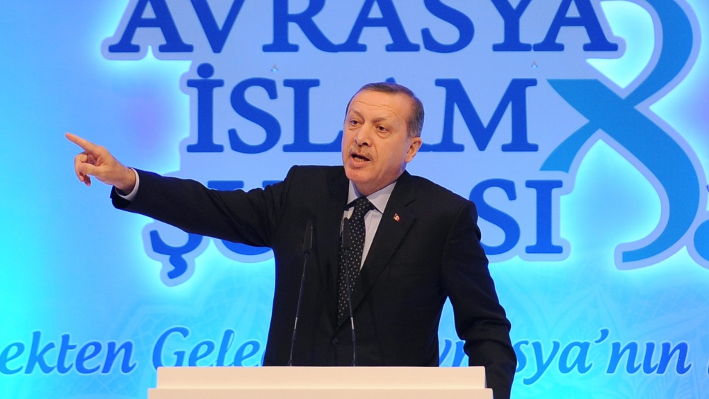 Erdogan in Istanbul, Turkey, Nov. 19, 2012.