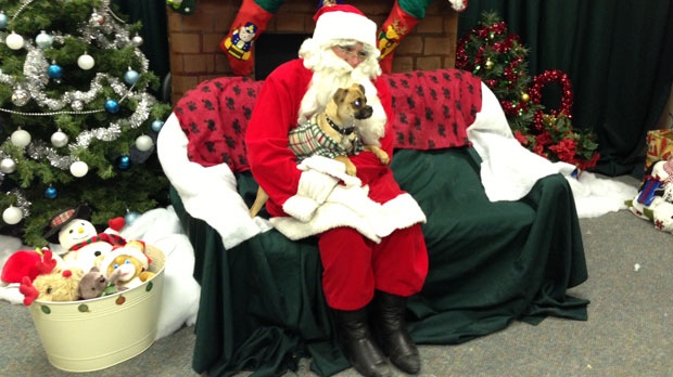 Santa Claus with dog in Winnipeg