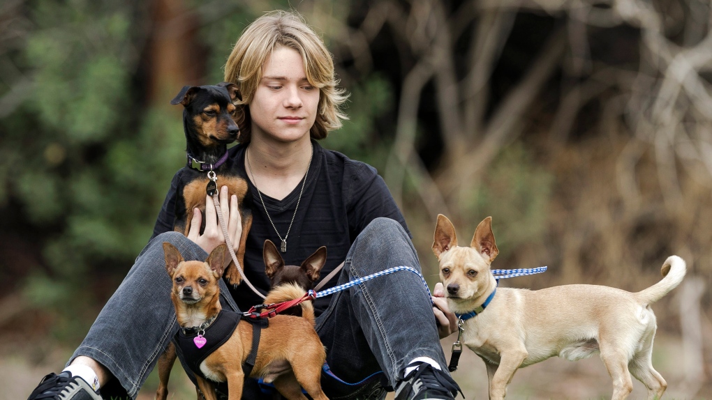 Young actor's star power boosts growing animal rescue group | CTV News