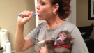 Darwin the monkey and owner Yasmin Nakhuda brush their teeth in this screen grab from a YouTube video.
