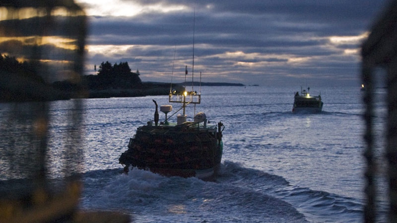 Lobster boats loaded with traps head from the harbour in West Dover, N.S. on Monday, Nov. 29, 2010. (THE CANADIAN PRESS/Andrew Vaughan)